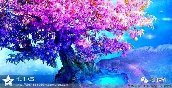 虫虫助手下载